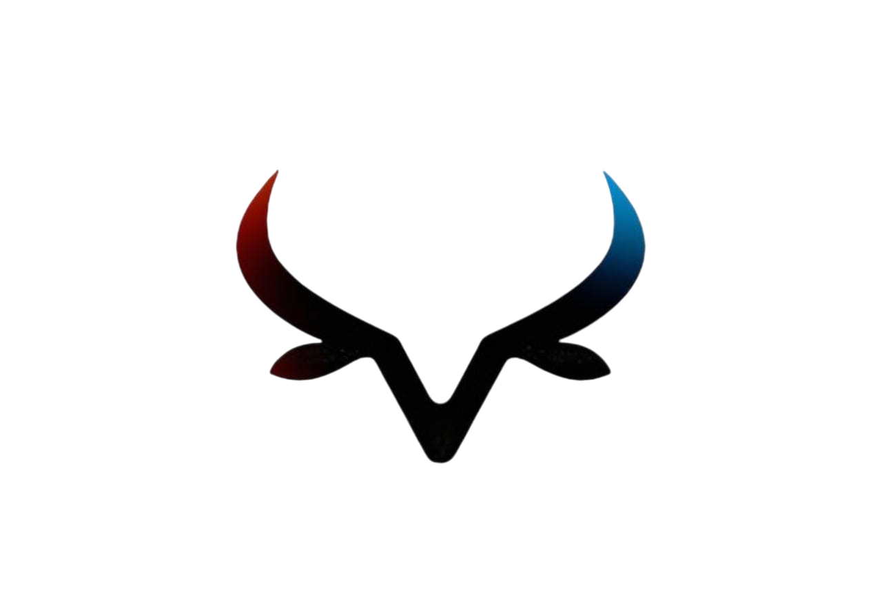 Mapengo Innovations Logo